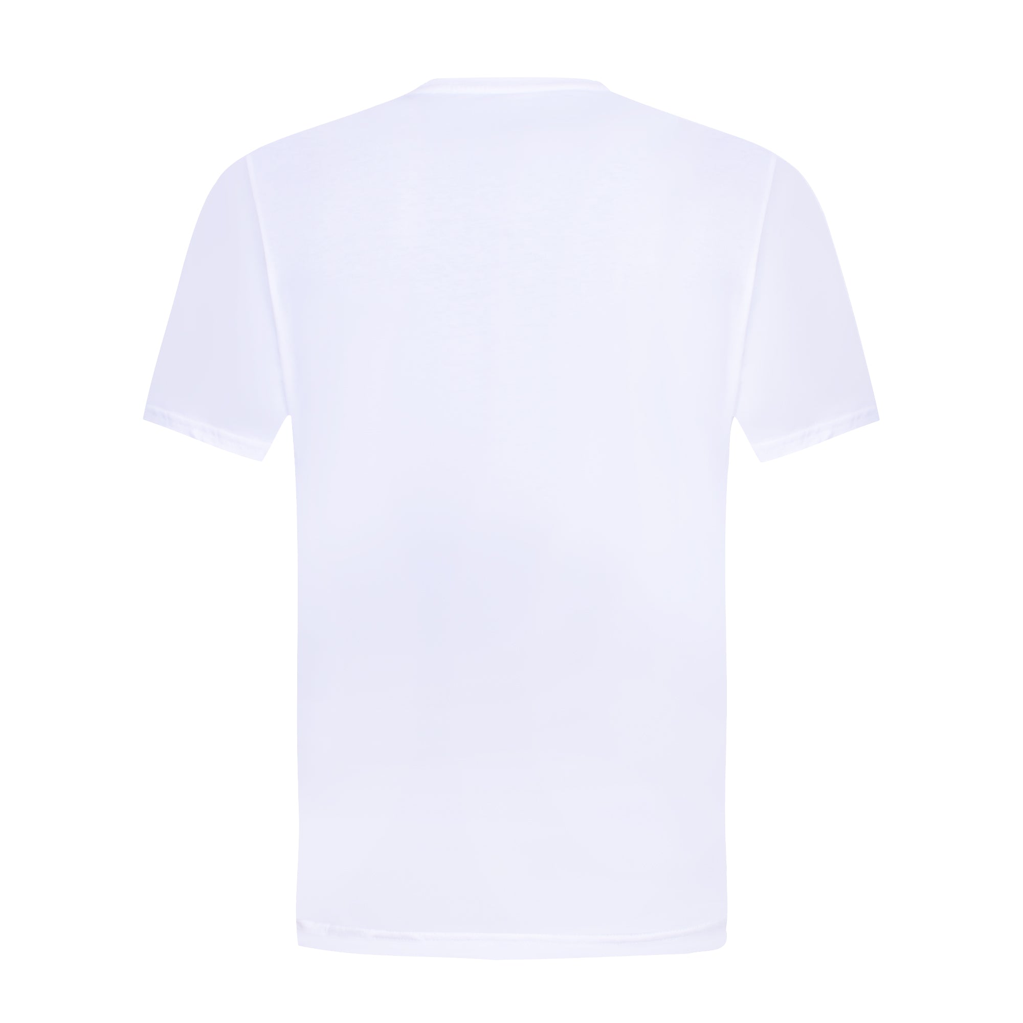 PLAYERA HOMBRE LE COQ SPORTIF | TERRE BATTUE 83 LEGEND NOAH