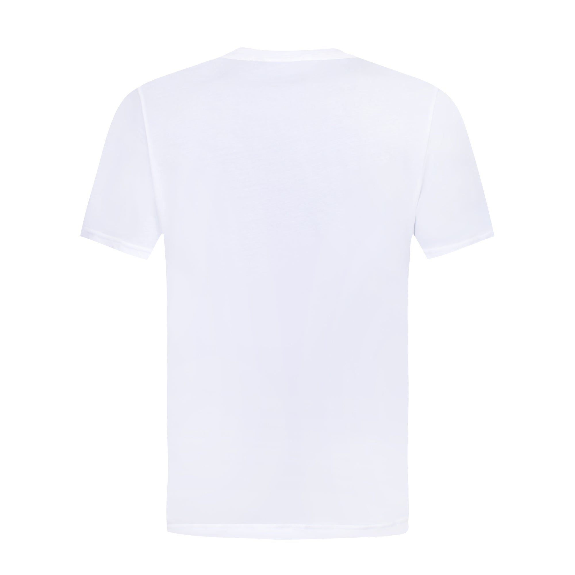 PLAYERA HOMBRE LECOQ SPORTIF | TERRE BATTUE 83