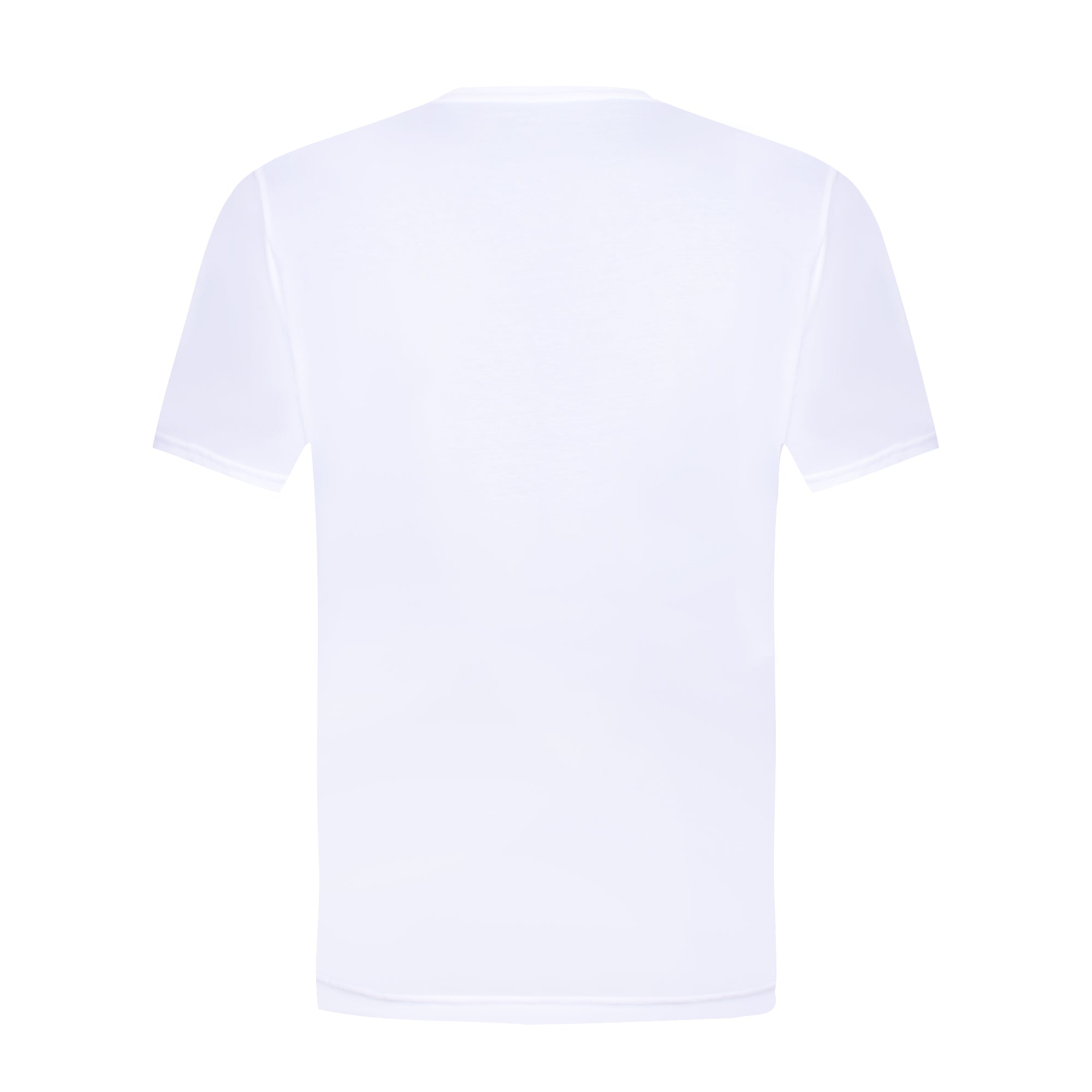 PLAYERA HOMBRE LE COQ SPORTIF | HERITAGE